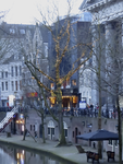 907169 Afbeelding van kerstverlichting in een boom op de werf voor de St.-Augustinuskerk (Oudegracht 69) te Utrecht.